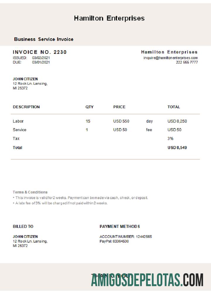 Fatura da Hamilton Enterprises nos EUA exemplo real